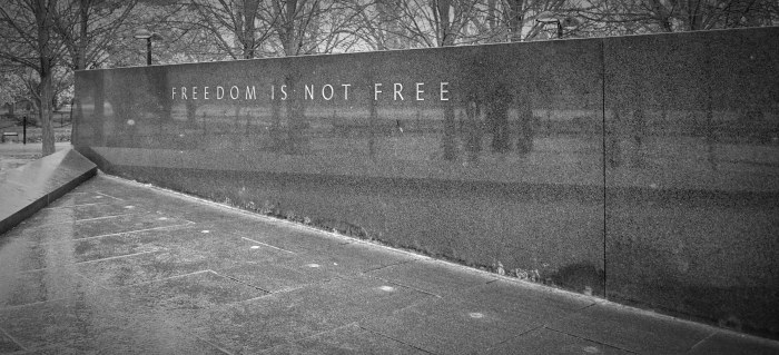 freedom is not free, monument to men who fought in vietnam, washington, washington dc, washington dc travel, dc travel, dc blog, washington dc blog, dc travel blog, washington dc travel blog, what to see in dc, things to see in dc, dc travel photography, washington dc travel photography, memorials and monuments, washington dc monuments, dc monuments, korean, korea, south korea, korean war, korean war memorial, korean war monument in dc, korean war memorial in dc, korean war monument in washington, korean war memorial in washington,